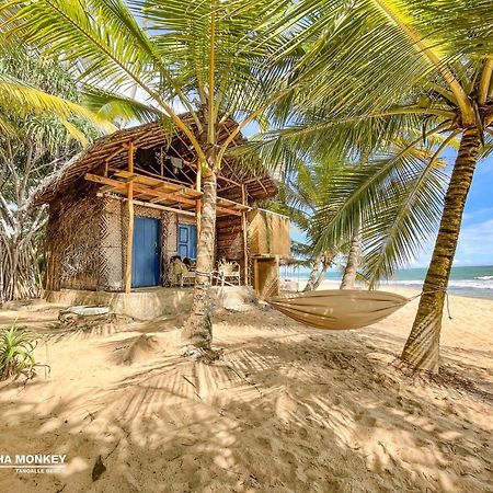 The Alpha Monkey Hotel & Tree House Tangalle Exteriér fotografie