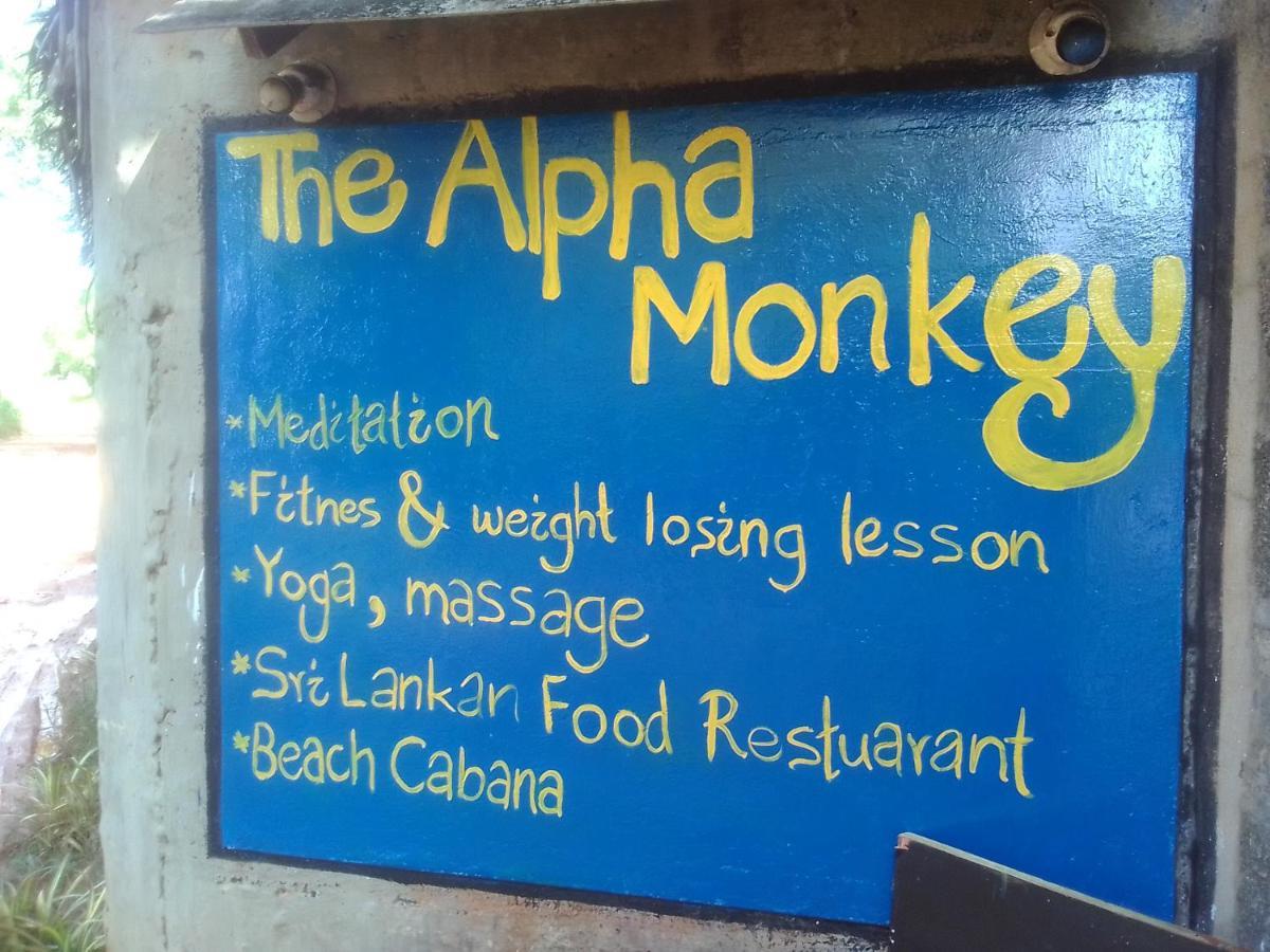 The Alpha Monkey Hotel & Tree House Tangalle Exteriér fotografie