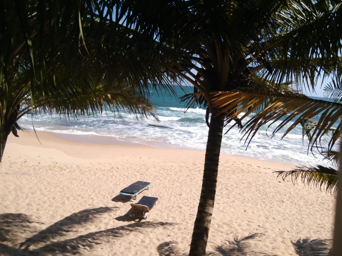 The Alpha Monkey Hotel & Tree House Tangalle Exteriér fotografie