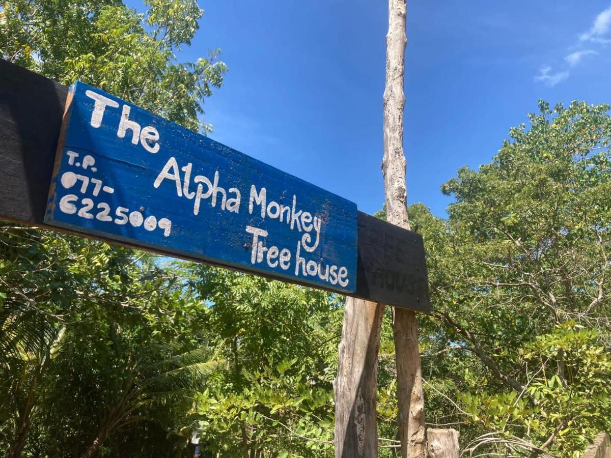 The Alpha Monkey Hotel & Tree House Tangalle Exteriér fotografie
