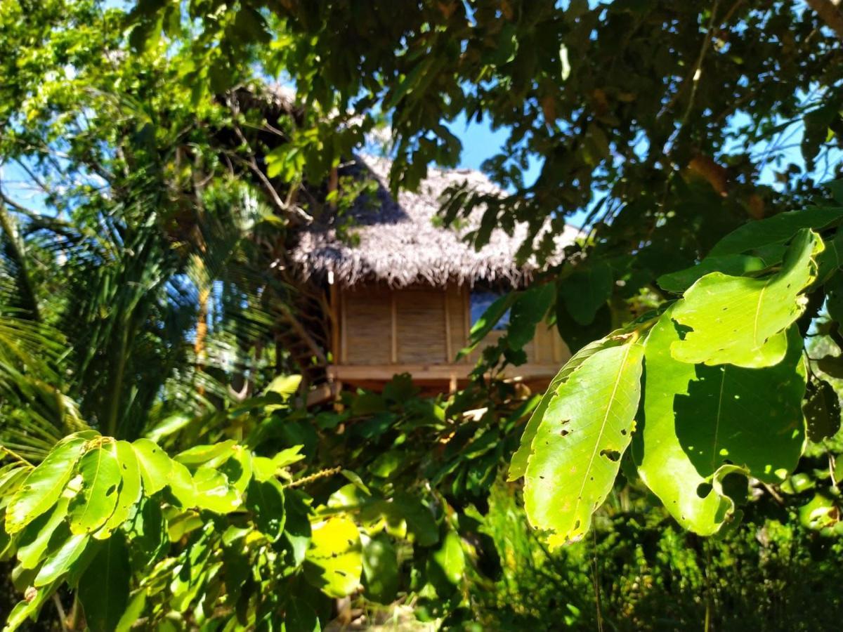 The Alpha Monkey Hotel & Tree House Tangalle Exteriér fotografie