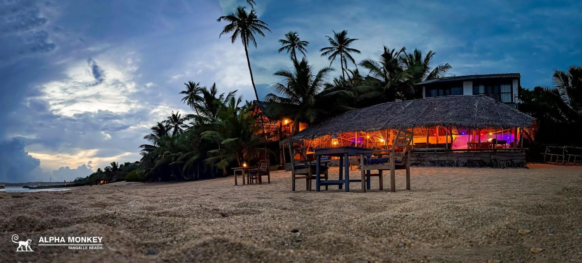 The Alpha Monkey Hotel & Tree House Tangalle Exteriér fotografie