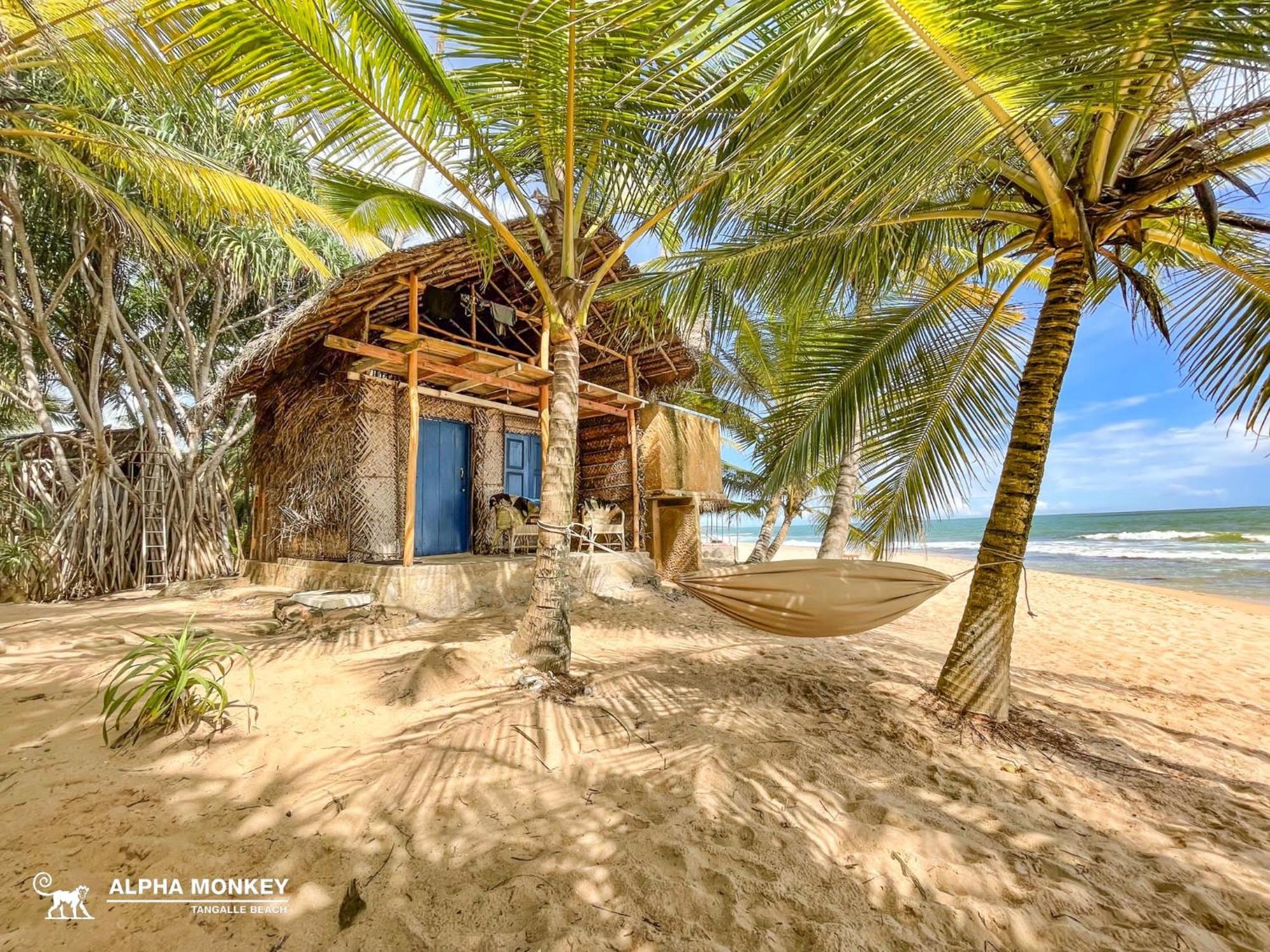 The Alpha Monkey Hotel & Tree House Tangalle Exteriér fotografie