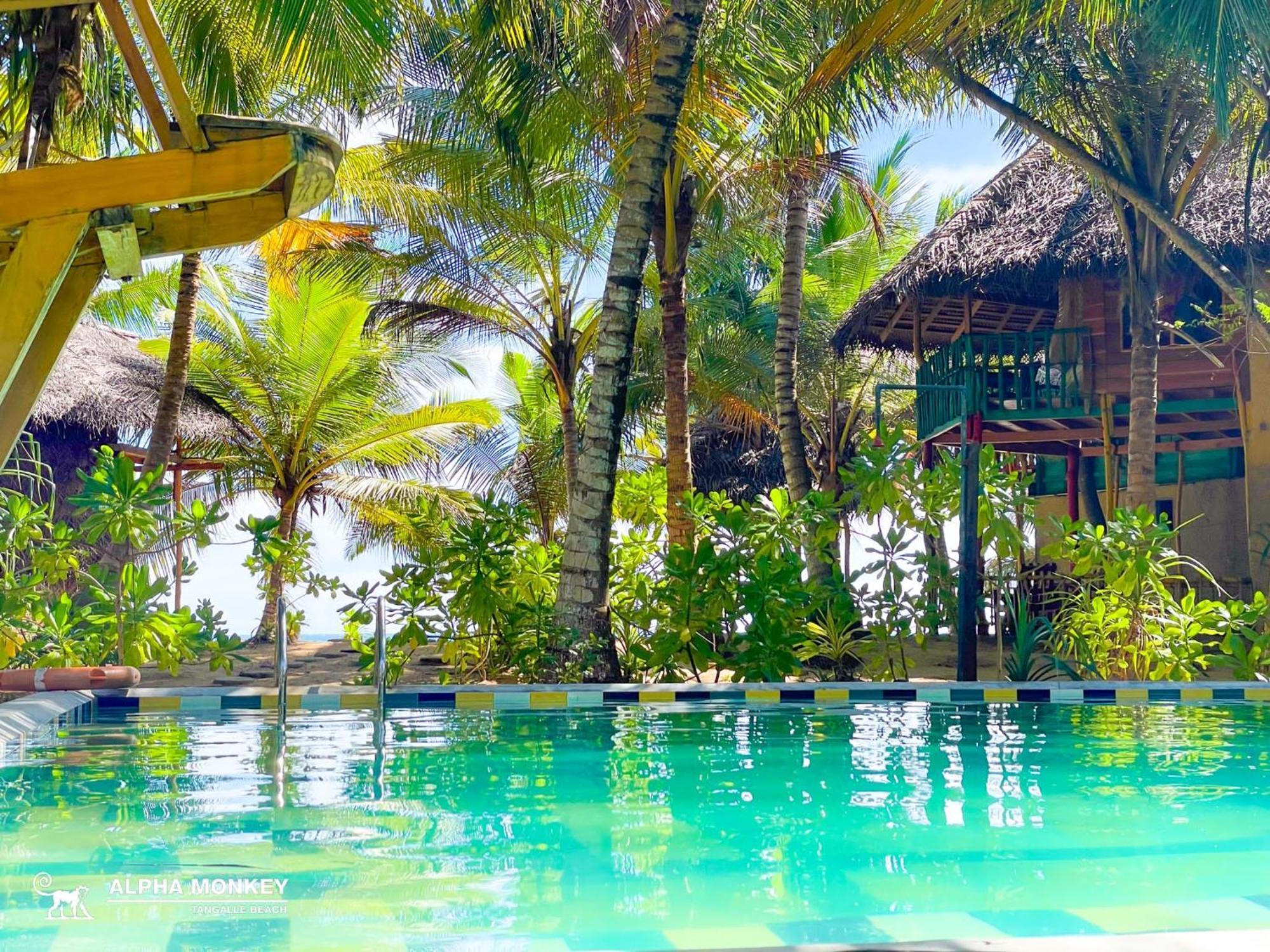 The Alpha Monkey Hotel & Tree House Tangalle Exteriér fotografie