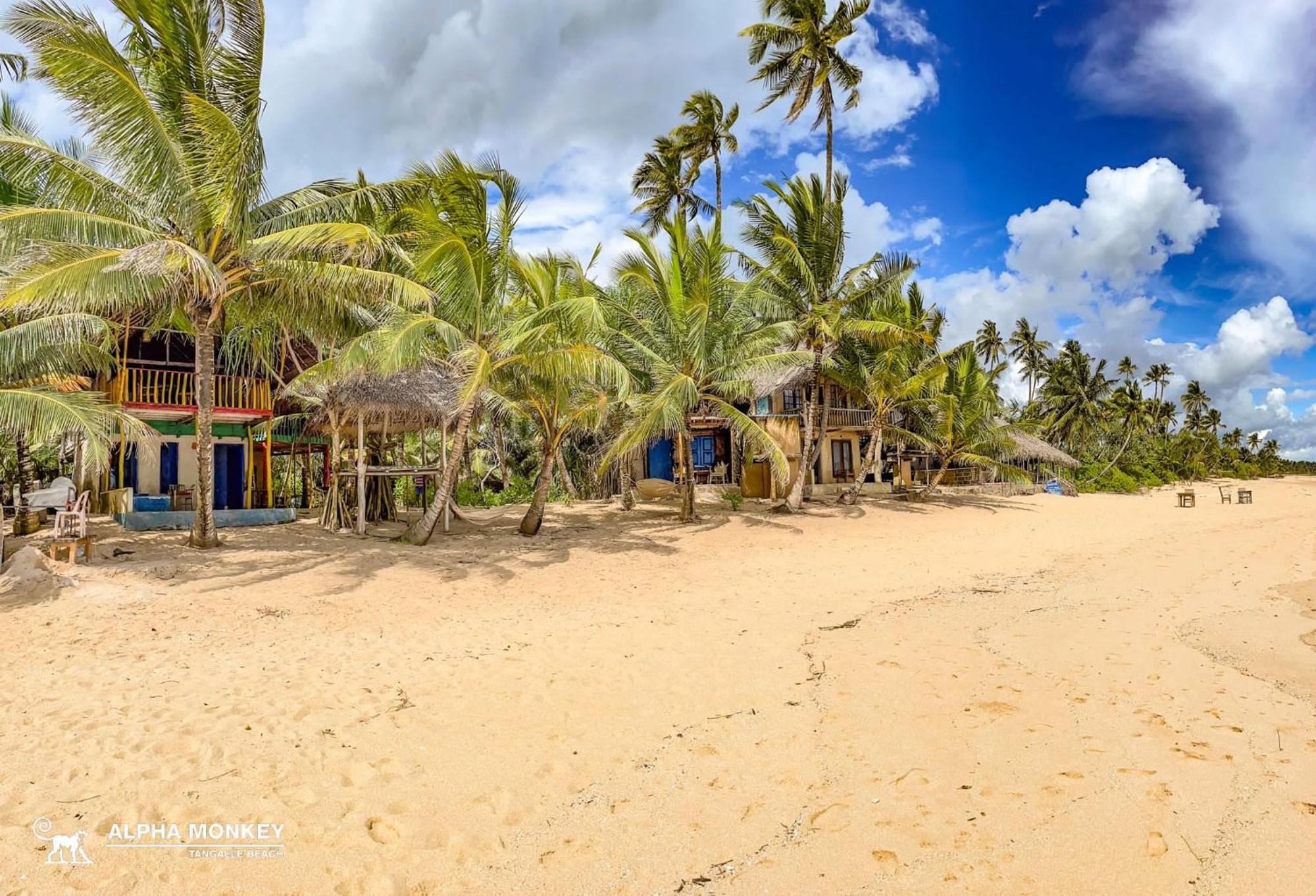 The Alpha Monkey Hotel & Tree House Tangalle Exteriér fotografie