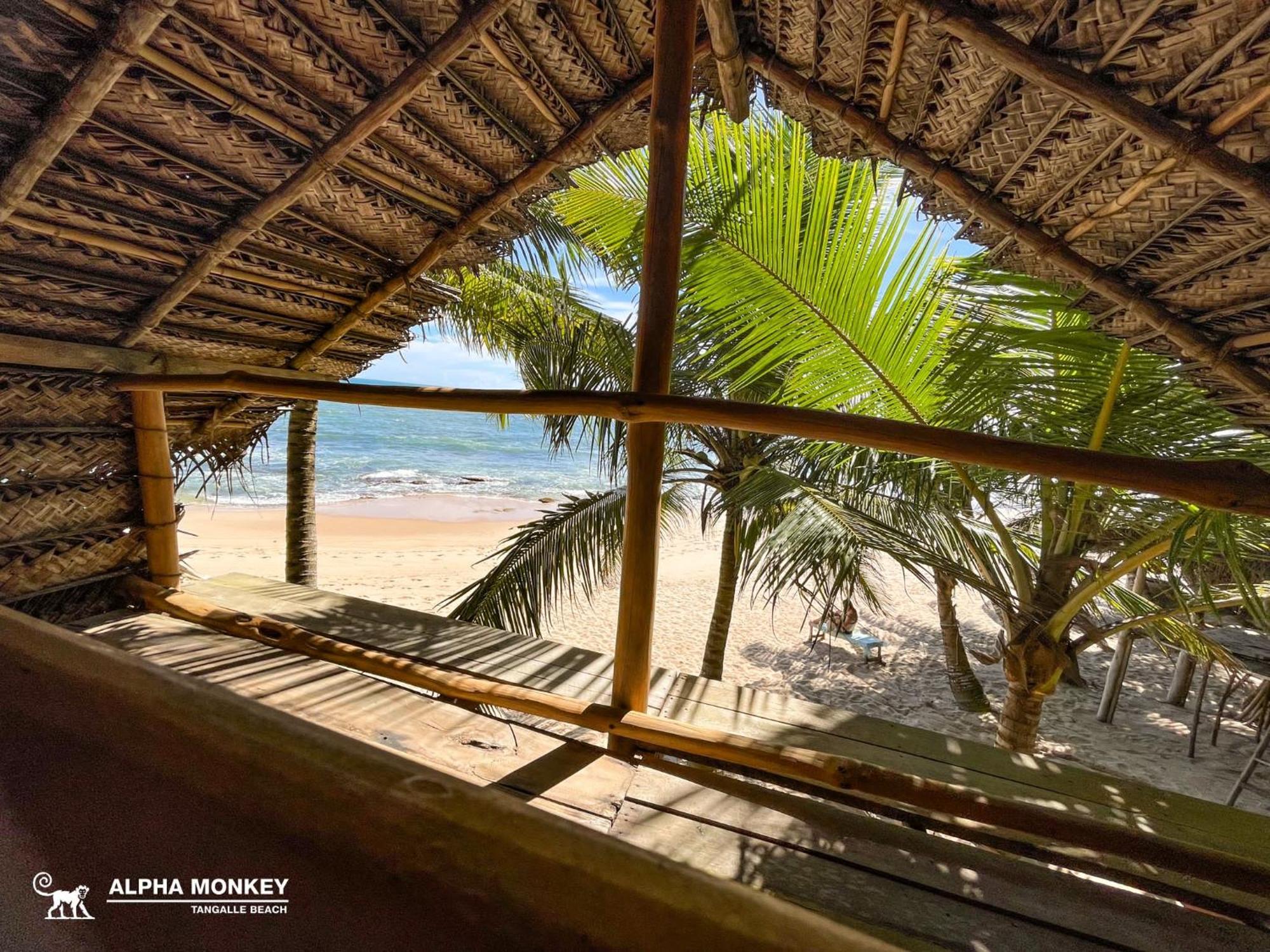 The Alpha Monkey Hotel & Tree House Tangalle Exteriér fotografie