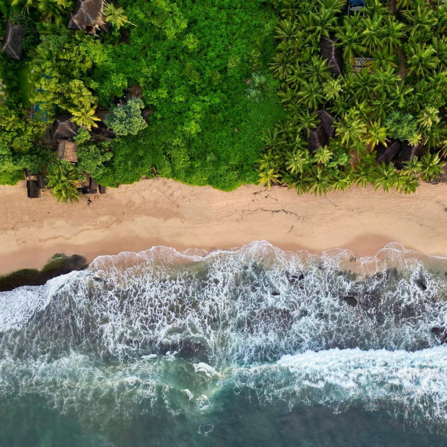 The Alpha Monkey Hotel & Tree House Tangalle Exteriér fotografie