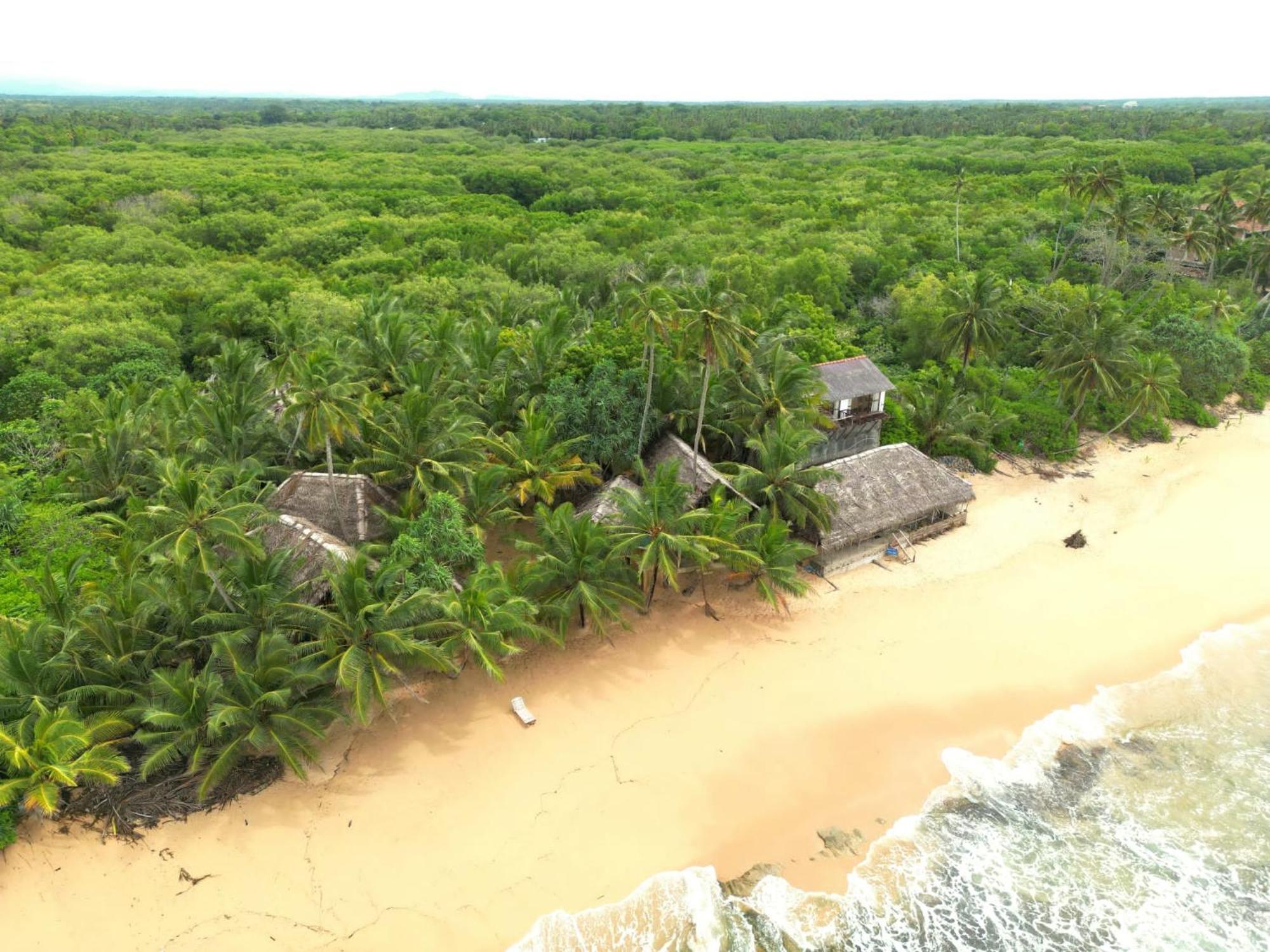 The Alpha Monkey Hotel & Tree House Tangalle Exteriér fotografie
