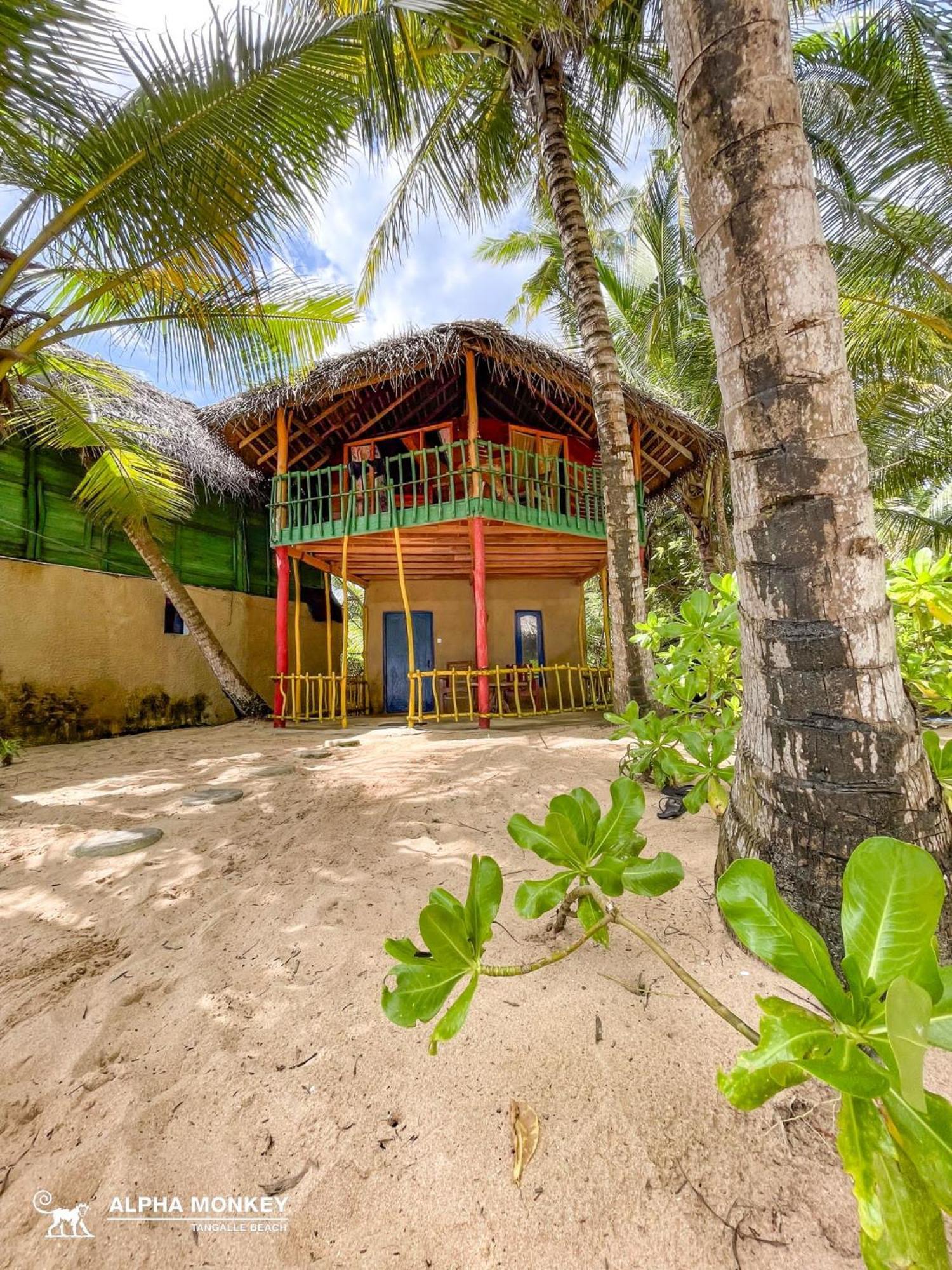 The Alpha Monkey Hotel & Tree House Tangalle Pokoj fotografie